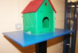 IMG_5670(2) IMG_5670(2)