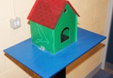 IMG_5674(2) IMG_5674(2)