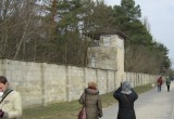 IMG_0257 - Copy