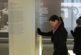 IMG_0282 - Copy