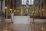 IMG_4135