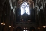 IMG_4147