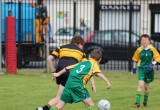 IMG_5809