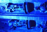 London SMcK 006